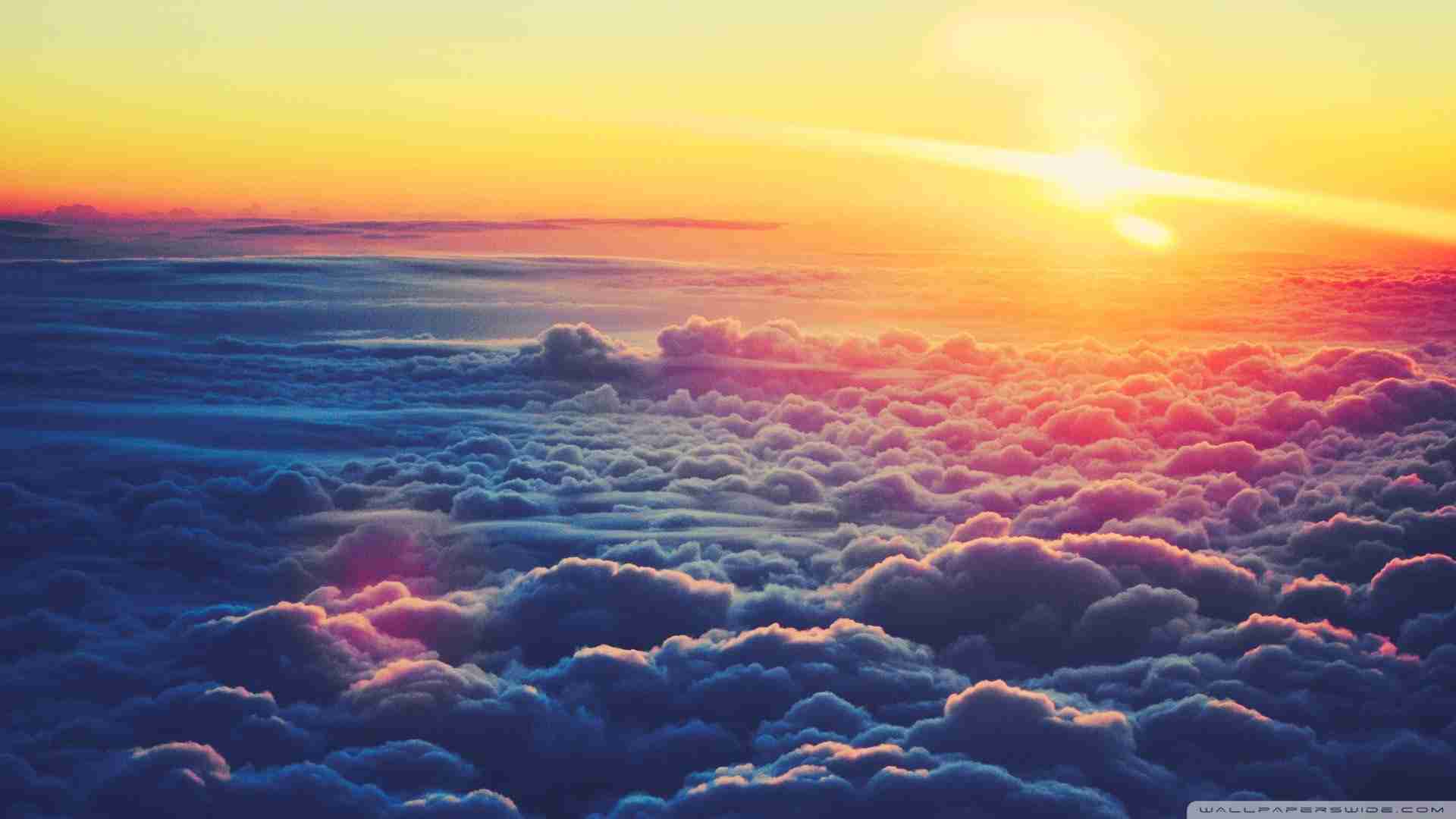banner1